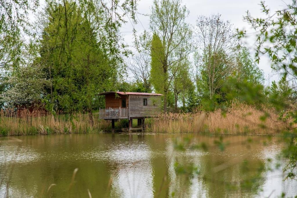 Lakeside Cabin On Stilts- 'Kingfisher' Villa Rous Lench Eksteriør billede